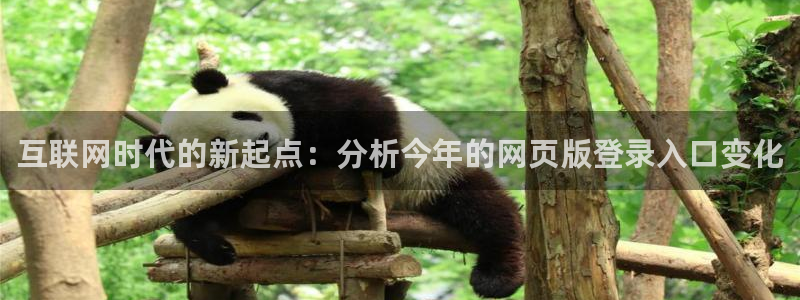 壹号app官方登录入口下载：互联网时代的新起点：分析今年的网页版登录入口变化