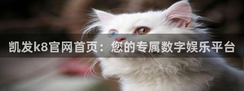 sbobet利记注册链接：凯发k8官网首页：您的专属数字娱乐平台