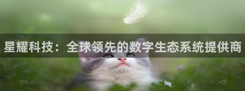 sbobet利记,com：星耀科技：全球领先的数字生态系统提供商