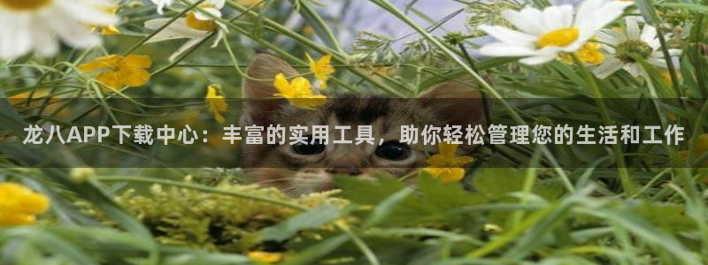 sbobet利记下载二维码：龙八APP下载中心：丰富的实用工具，助你轻松管理您的生活和工作
