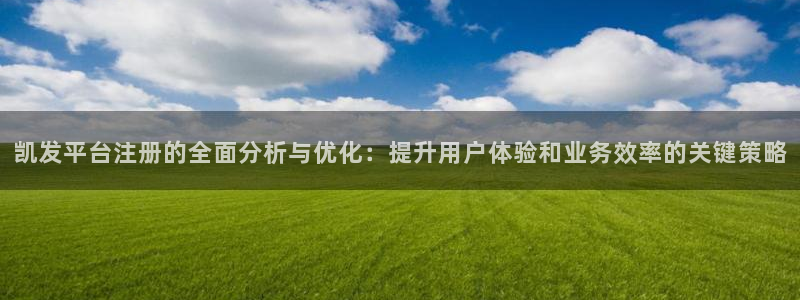 sbobet利记：凯发平台注册的全面分析与优化：提升用户体验和业务效率的关键策略