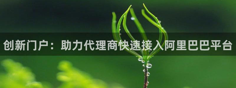 sbobet利记网址：创新门户：助力代理商快速接入阿里巴巴平台