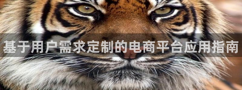 sbobet利记下载入口：基于用户需求定制的电商平台应用指南