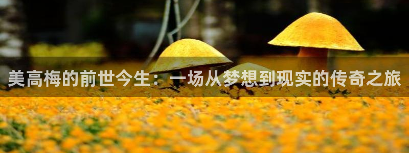 壹号下载官网入口：美高梅的前世今生：一场从梦想到现实的传奇之旅