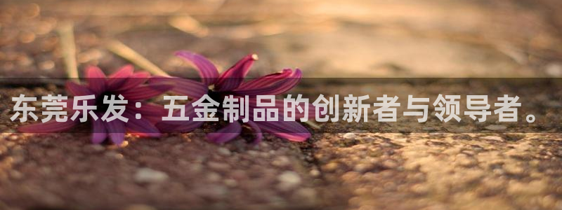 sbobet利记下载入口：东莞乐发：五金制品的创新者与领导者。