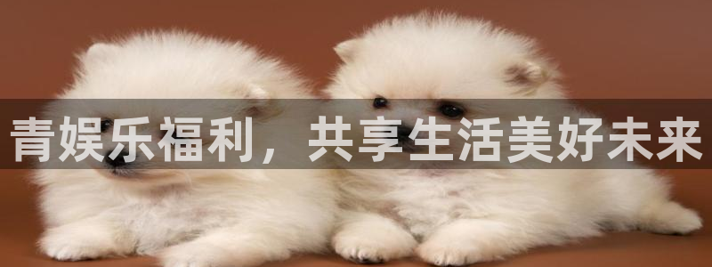 壹号大舞台官网：青娱乐福利，共享生活美好未来