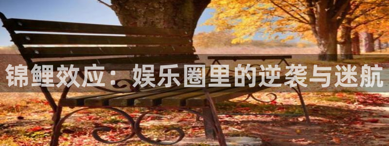 sbobet利记-ng大舞台,有梦你就来：锦鲤效应：娱乐圈里的逆袭与迷航