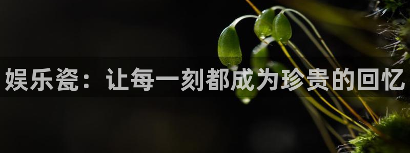 sbobet利记官网下载：娱乐瓷：让每一刻都成为珍贵的回忆