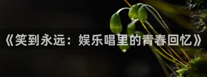 壹号大舞台：《笑到永远：娱乐唱里的青春回忆》