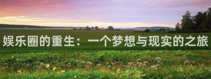 sbobet利记pg电子游戏在线玩：娱乐圈的重生：一个梦想与现实的之旅