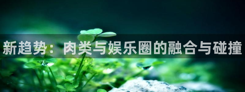 下载sbobet利记app