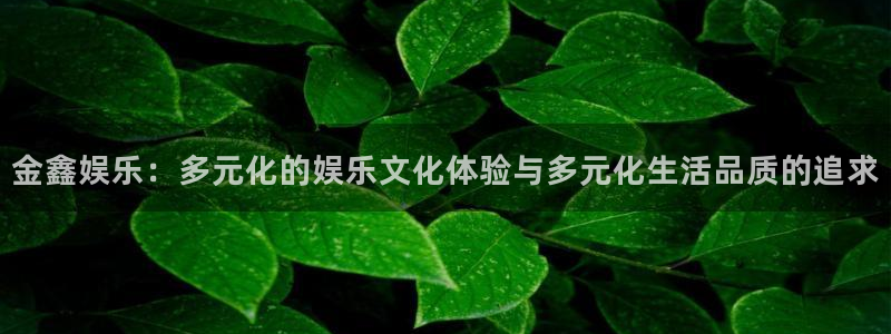 sbobet利记app 是什么：金鑫娱乐：多元化的娱乐文化体验与多元化生活品质的追求
