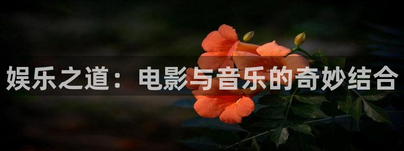 sbobet利记下载：娱乐之道：电影与音乐的奇妙结合