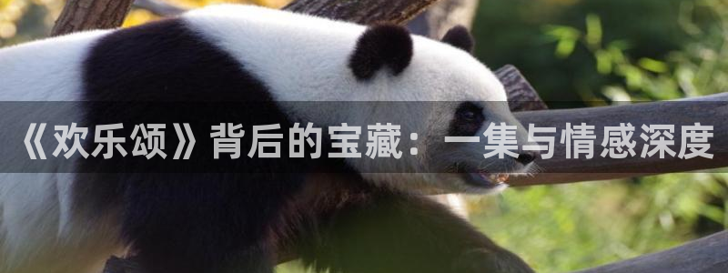 壹号大舞台有梦你就来：《欢乐颂》背后的宝藏：一集与情感深度