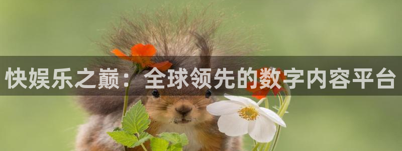壹号电子娱乐app下载安装最新版本：快娱乐之巅：全球领先的数字内容平台