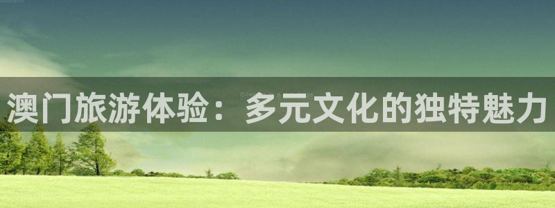 壹号大舞台有梦你就来：澳门旅游体验：多元文化的独特魅力