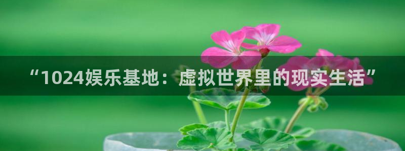 sbobet利记app官网下载：“1024娱乐基地：虚拟世界里的现实生活”