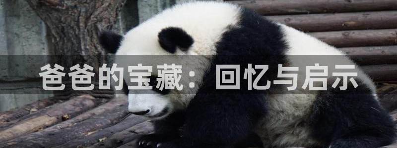 壹号电子娱乐app下载：爸爸的宝藏：回忆与启示