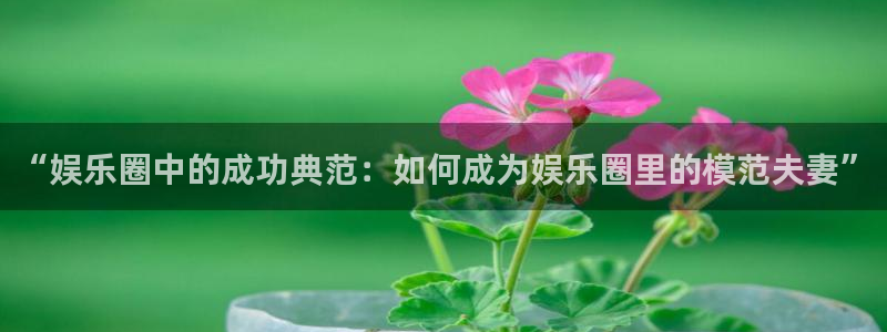 壹号电子娱乐app下载安装：“娱乐圈中的成功典范：如何成为娱乐圈里的模范夫妻”