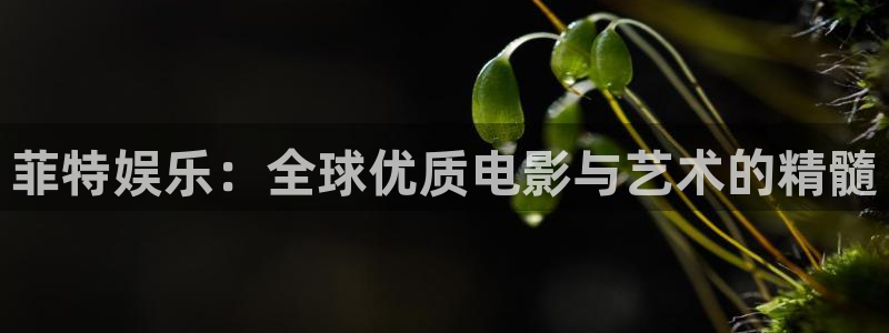 sbobet利记网址：菲特娱乐：全球优质电影与艺术的精髓