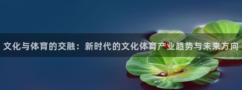 壹号下载安装：文化与体育的交融：新时代的文化体育产业趋势与未来方向