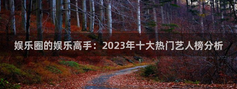 壹号下载官网入口：娱乐圈的娱乐高手：2023年十大热门艺人榜分析
