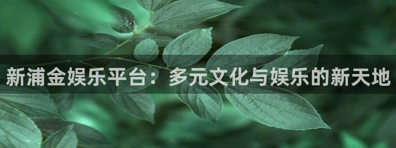 sbobet利记下载官网入口在哪：新浦金娱乐平台：多元文化与娱乐的新天地
