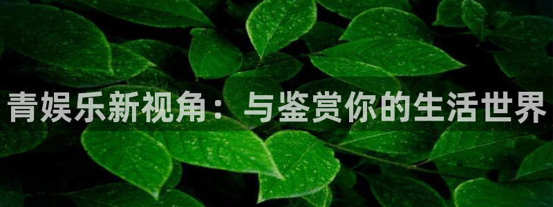 sbobet利记app官网：青娱乐新视角：与鉴赏你的生活世界