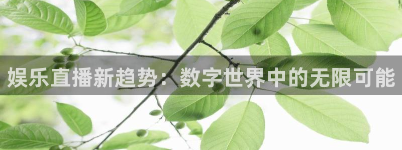 sbobet利记平台注册：娱乐直播新趋势：数字世界中的无限可能