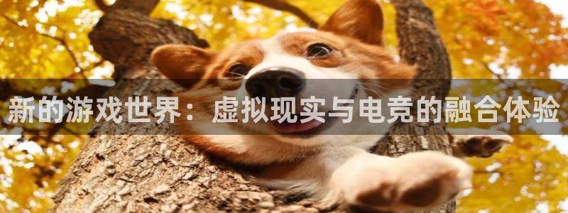 sbobet利记app 是什么：新的游戏世界：虚拟现实与电竞的融合体验