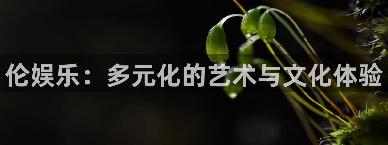 sbobet利记,apk.1：伦娱乐：多元化的艺术与文化体验