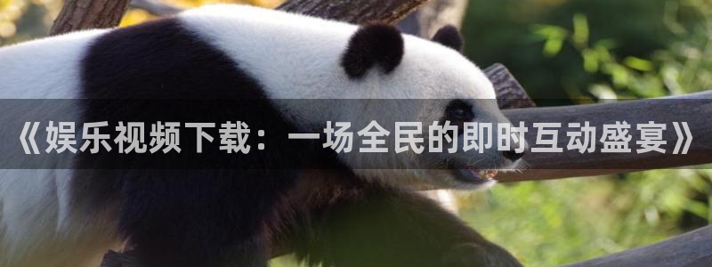 sbobet利记游戏官网平台入口：《娱乐视频下载：一场全民的即时互动盛宴》